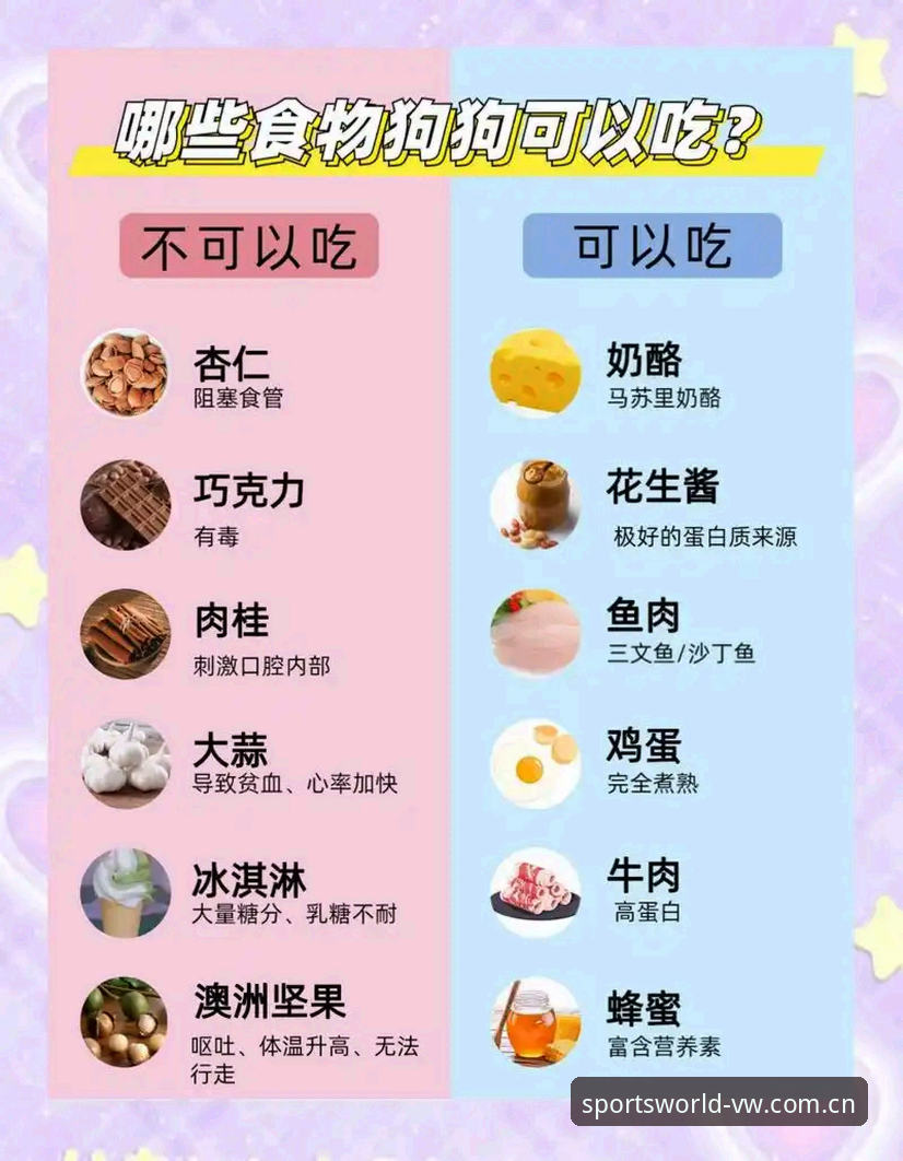 揭秘微玩体育官方渠道：新手必知的注册下载全攻略